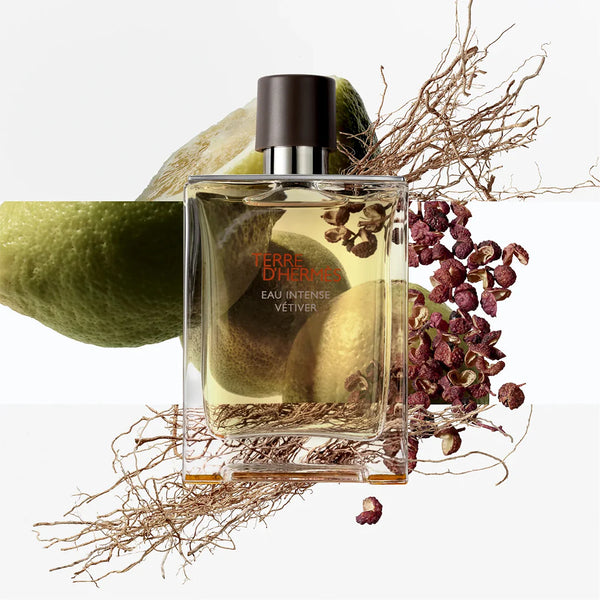 Hermès Terre d’Hermès Eau de Toilette – For Men - Radhe Perfumes