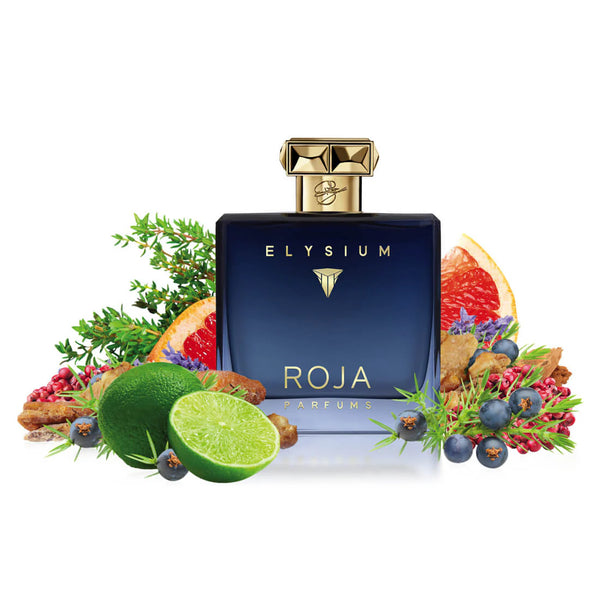 Roja Parfums Elysium Pour Homme Parfum Cologne – 100ml (Men) - Radhe Perfumes