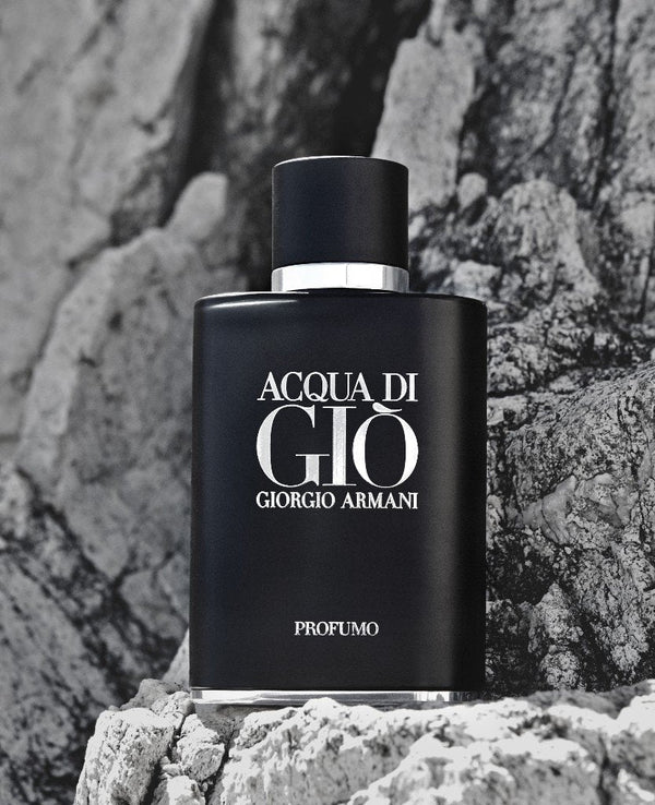 Acqua Di Gio Profumo Parfum – For Men (100ml) - Radhe Perfumes