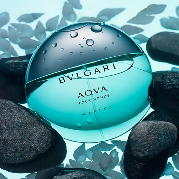 Bvlgari Aqva Pour Homme Eau de Toilette – For Men - Radhe Perfumes