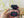 Victoria's Secret Tease Perfume For Unisex - Radhe Perfumes