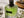 Valentino Born in Roma Green Stravaganza Eau de Parfum – 100ml - Radhe Perfumes