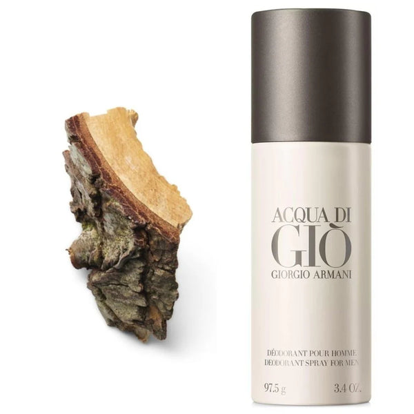 Giorgio Armani Acqua di Gio Pour Homme Deodorant - Radhe Perfumes