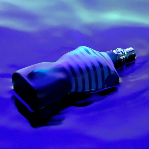 Jean Paul Gaultier Le Male Eau De Toilette – 125ml - Radhe Perfumes