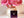 Roja Parfums Reckless Pour Femme EDP (100ml) - Radhe Perfumes